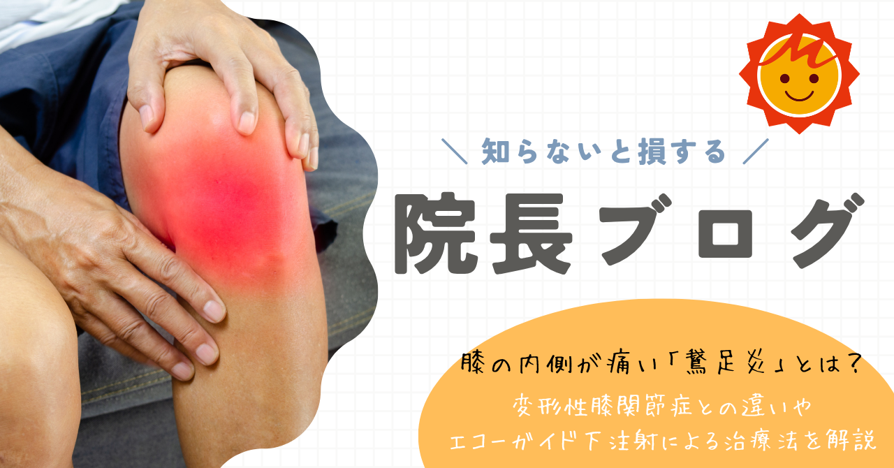 【久留米市の整形外科】膝の内側が痛い「鵞足炎」とは？変形性膝関節症との違いやエコーガイド下注射による治療法を解説