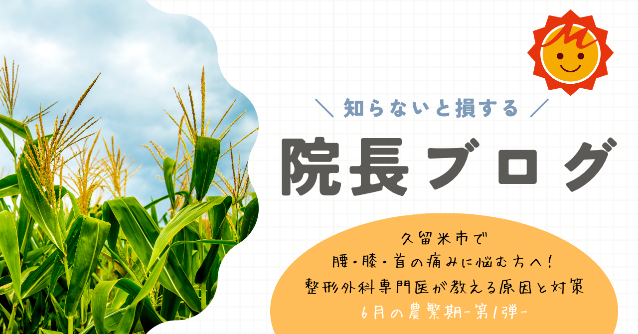 【久留米市の整形外科】久留米市で腰・膝・首の痛みに悩む方へ！整形外科専門医が教える原因と対策【6月の農繁期-第１弾-】
