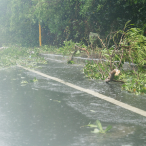台風の日に交通事故が多発する理由と特有の事故パターン 